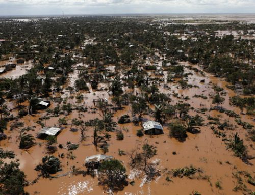 IDAI CYCLONE EMERGENCY IN MOZAMBIQUE  HOW YOU CAN HELP