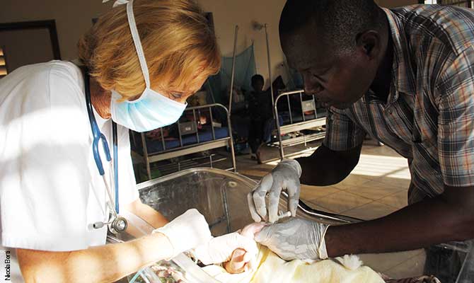 Senior Medical Officer - Cuamm