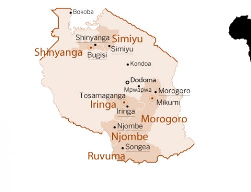 L’impegno oggi in Tanzania